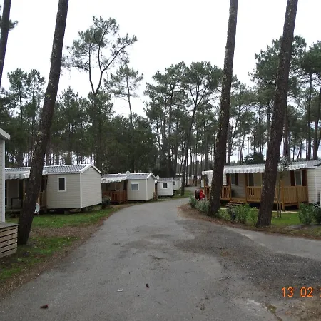 Camping Camping *