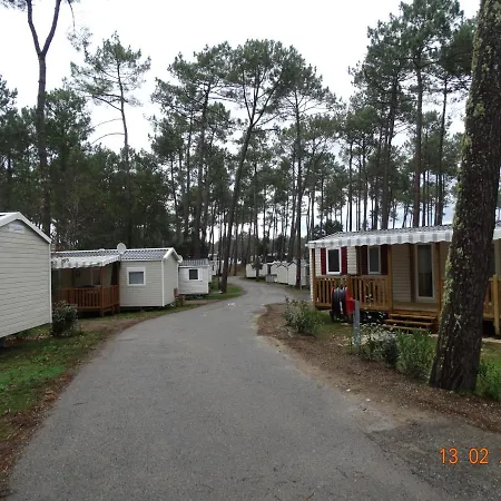 Camping *